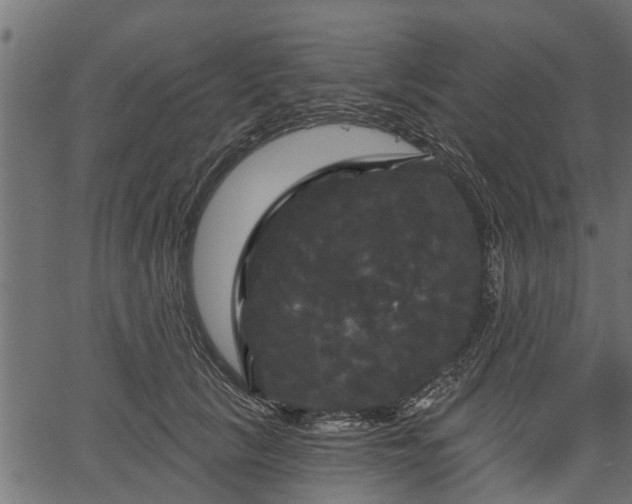 X0000066930657200603311353