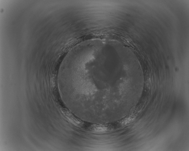 X0000066930658200603311353