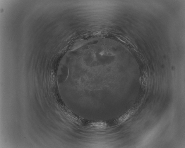 X0000066930659200603311353