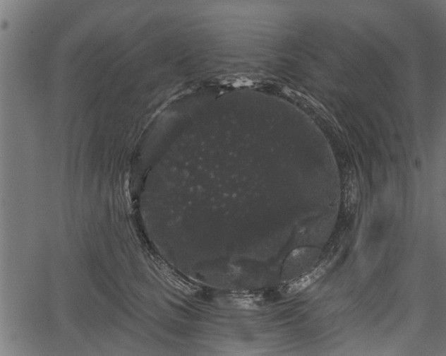 X0000066930661200603311353