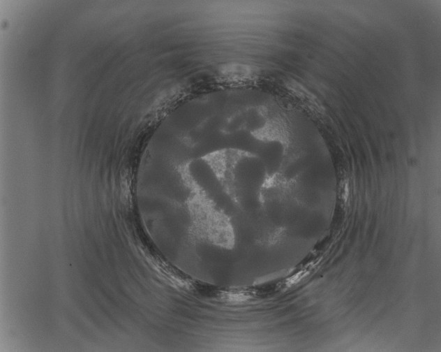 X0000066930662200603311353