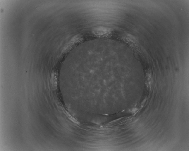 X0000066930664200603311353