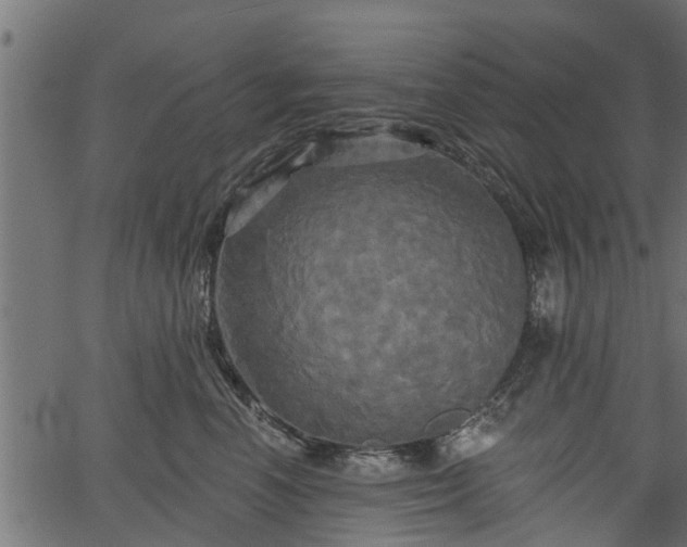 X0000066930666200603311353