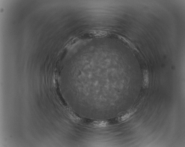 X0000066930667200603311353