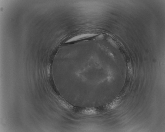 X0000066930668200603311353