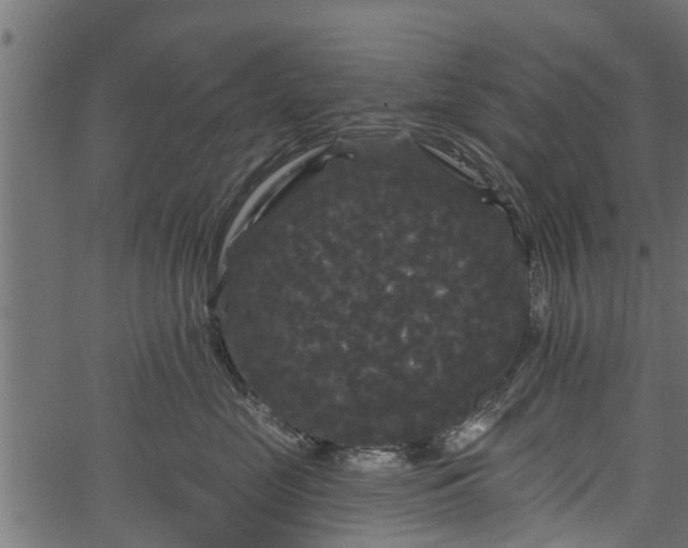 X0000066930669200603311353