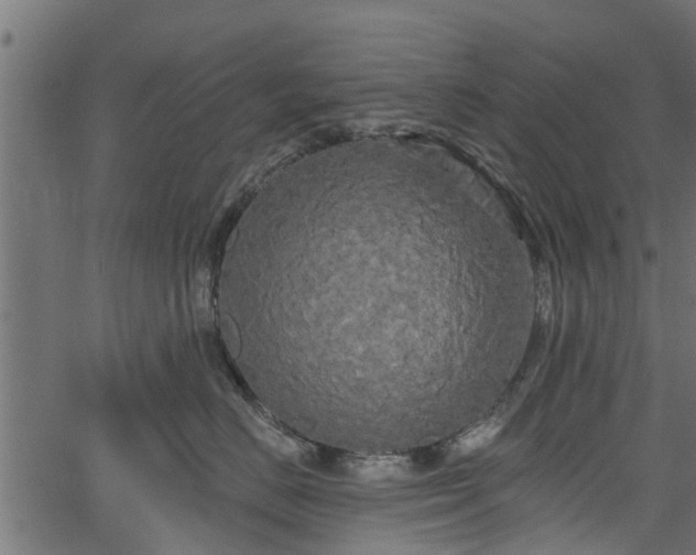 X0000066930670200603311353