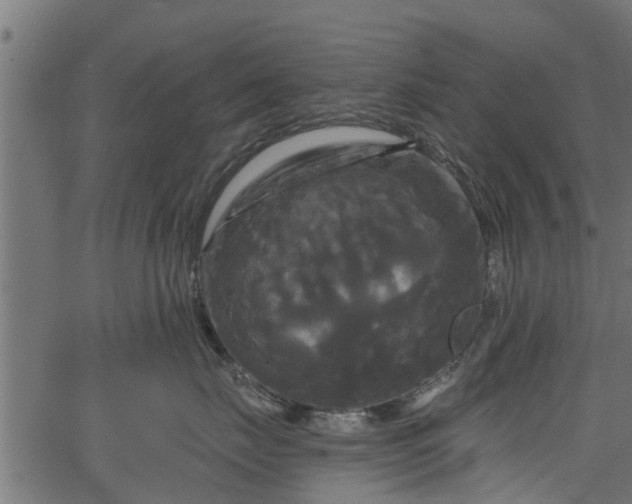 X0000066930671200603311353