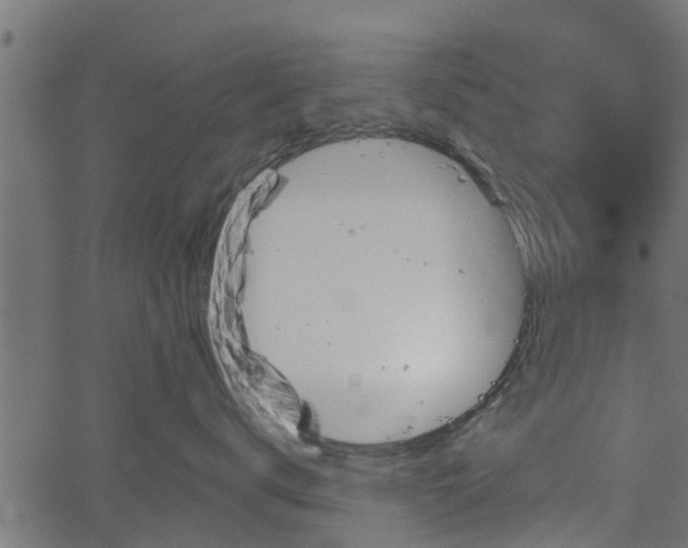 X0000066930672200603311353