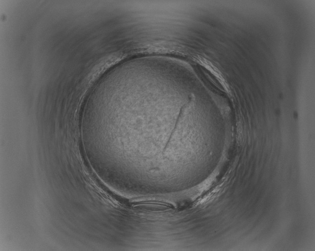 X0000066930673200603311353