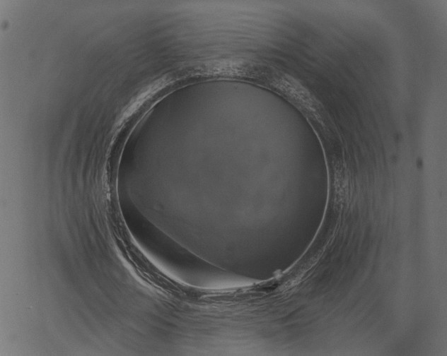 X0000066930674200603311352