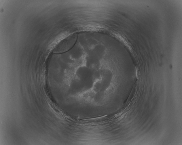 X0000066930675200603311352