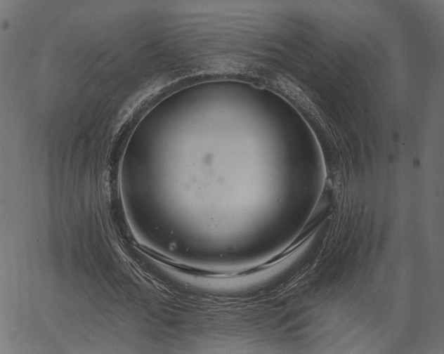 X0000066930676200603311352