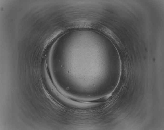 X0000066930677200603311352