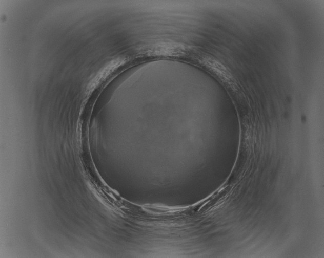 X0000066930678200603311352