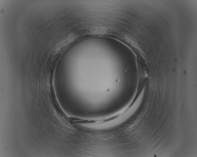 X0000066930681200603311352