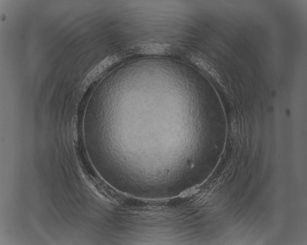 X0000066930682200603311352