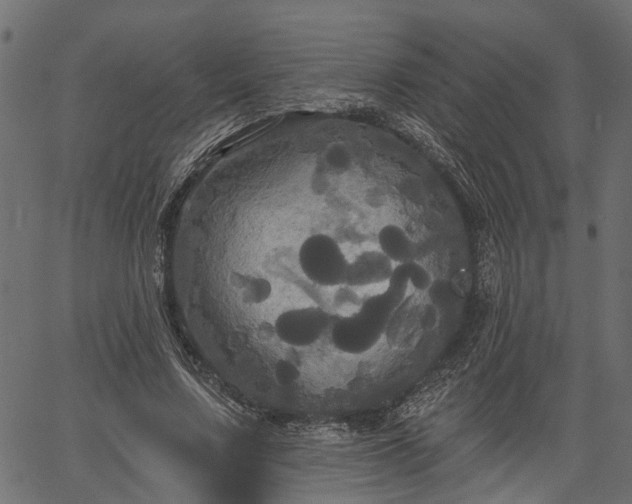 X0000066930683200603311352