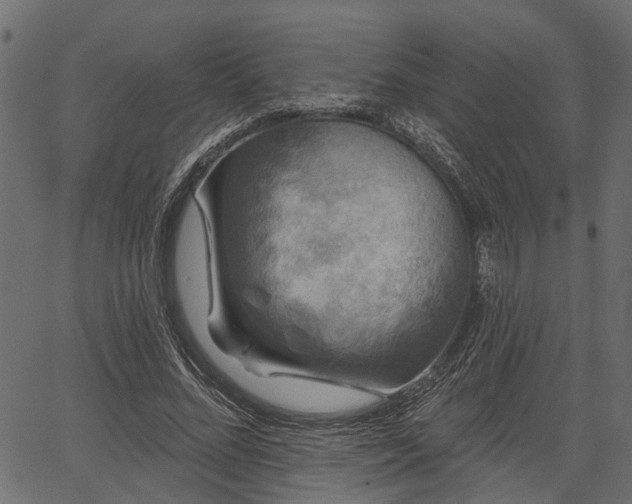 X0000066930684200603311352