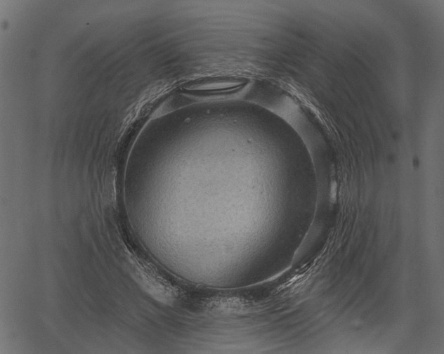 X0000066930685200603311352