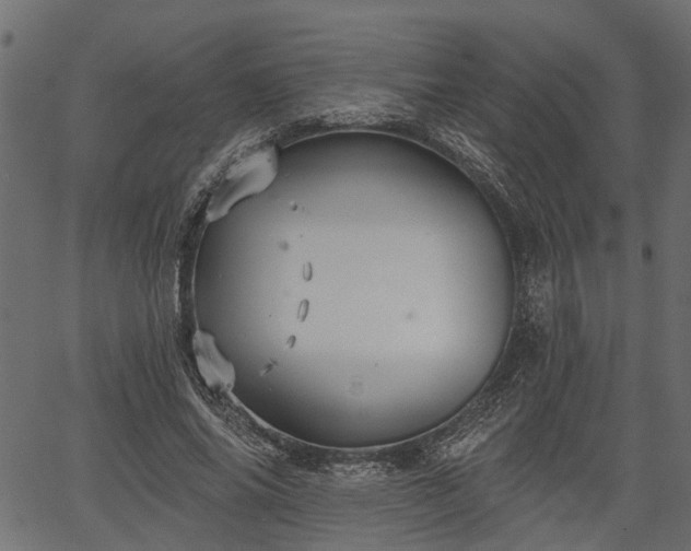 X0000066930686200603311352