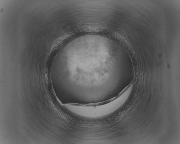 X0000066930688200603311352