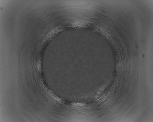 X0000066930689200603311352