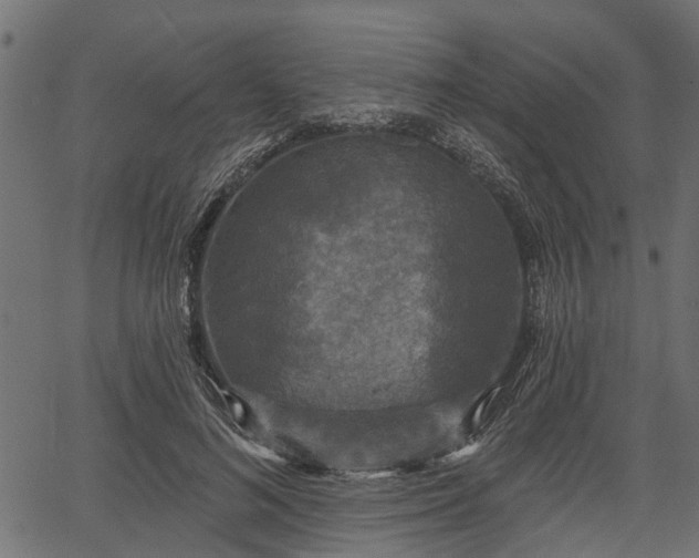 X0000066930692200603311352