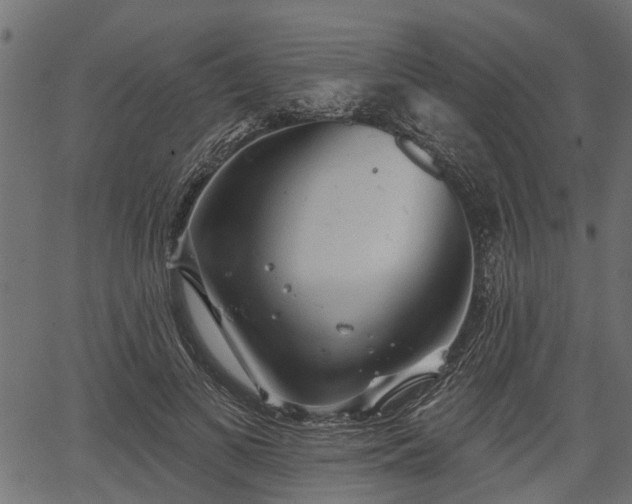 X0000066930693200603311352