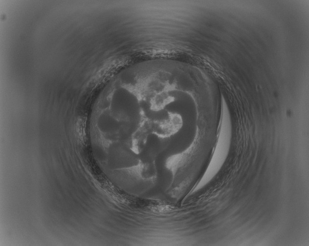 X0000066930695200603311352