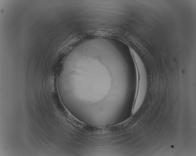 X0000066930696200603311352