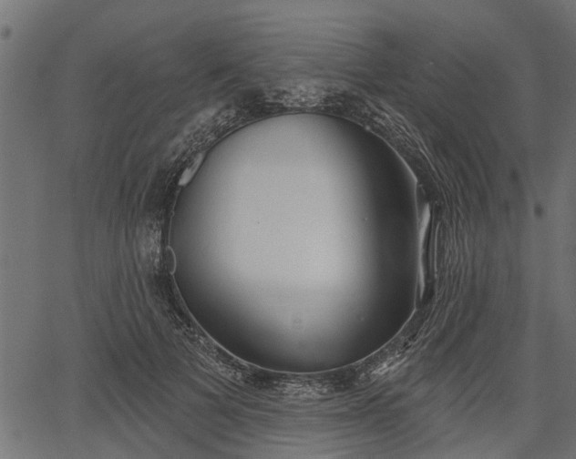 X0000066930697200603311352