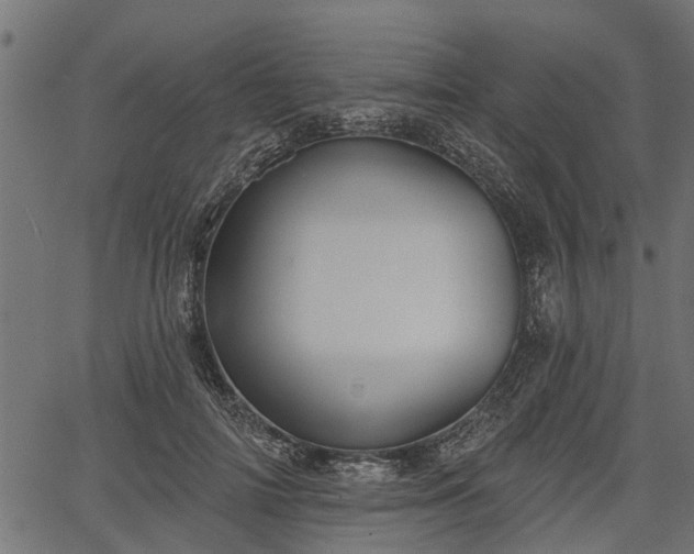 X0000066930698200603311352