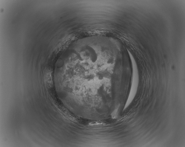 X0000066930699200603311352