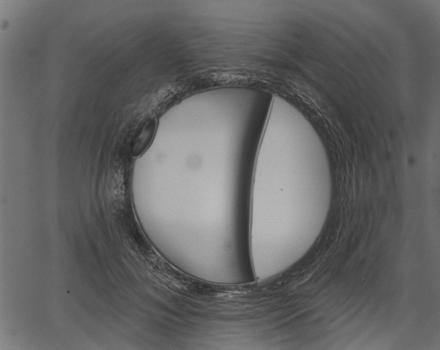 X0000066930700200603311352