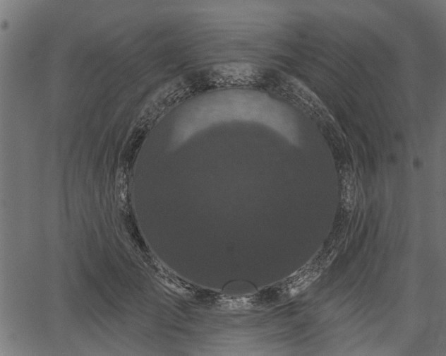 X0000066930701200603311352