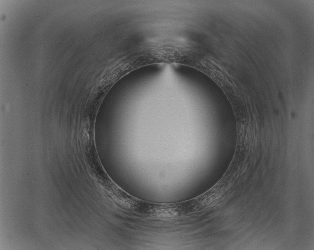 X0000066930702200603311352