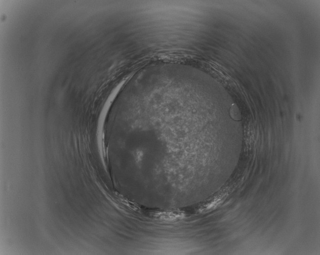 X0000066930703200603311352