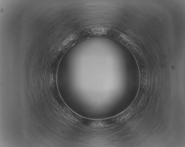 X0000066930704200603311352