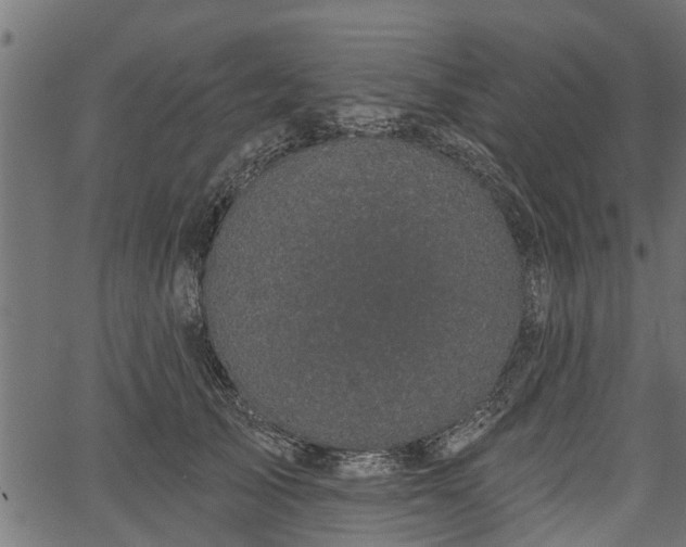 X0000066930705200603311352