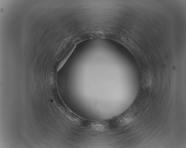 X0000066930706200603311352