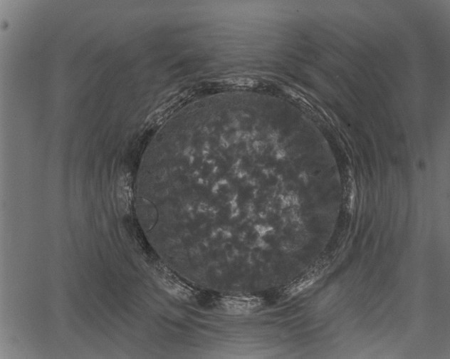 X0000066930707200603311352