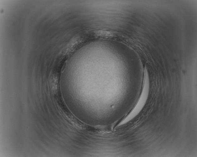 X0000066930708200603311352