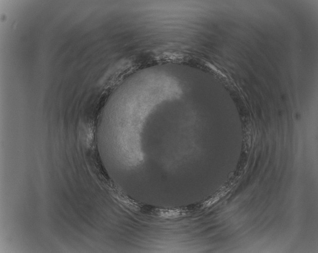 X0000066930709200603311352