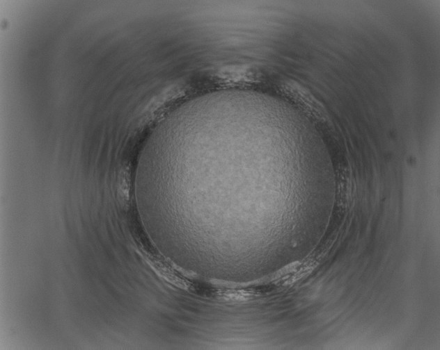 X0000066930710200603311352