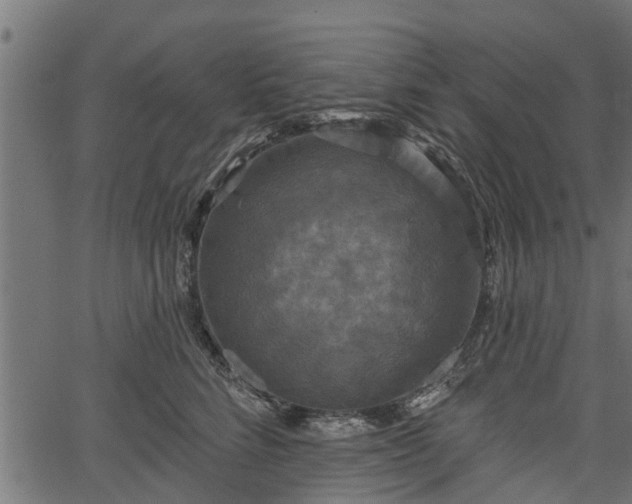 X0000066930712200603311352