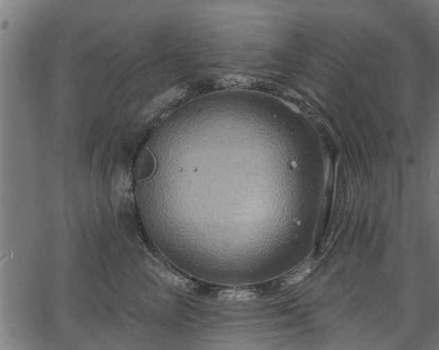 X0000066930714200603311352