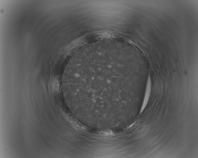 X0000066930715200603311352