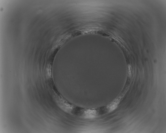 X0000066930718200603311352