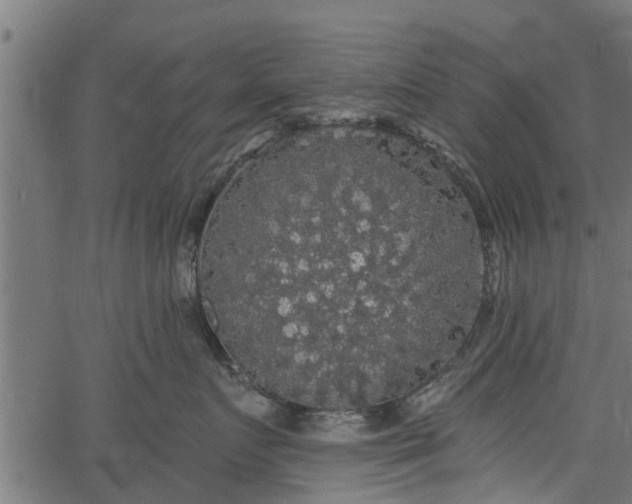 X0000066930719200603311352